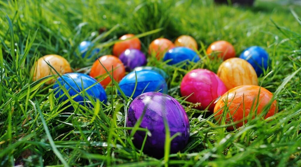 Rairuohon päälle on sijoiteltuna useita eri värisiä pääsiäismunia.