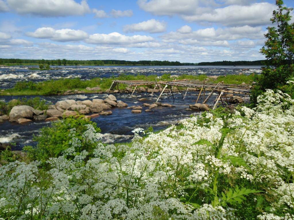 maisemakuva Kukkolankoskelta